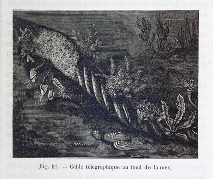 Yan’ Dargent, Férat and A. Mesnel, Câble télégraphique au fond de la mer, illustration/print, from Léon Sonrel, Le Fond de la mer (Paris: L. Hachette, 1868), 331